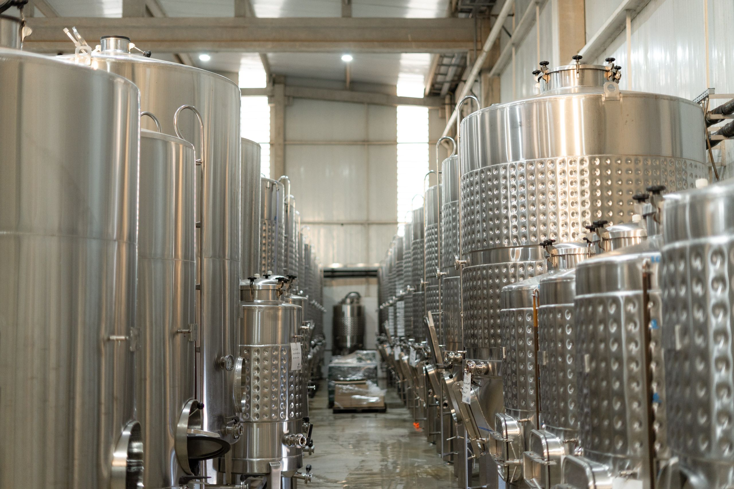 Academia de Medicina de Brasília promove experiência sociocultural exclusiva para seus membros no Cerrado